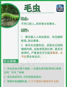 警惕假药， 不要让农民的钱袋子受损失