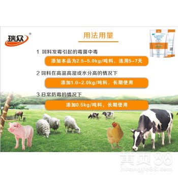 全价猪饲料霉变怎么办？有哪些三招紧急抢救方案可以挽救？