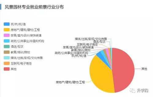 就业前景：多样化的选择