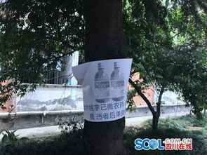 椒树，那是个耐寒的大家伙