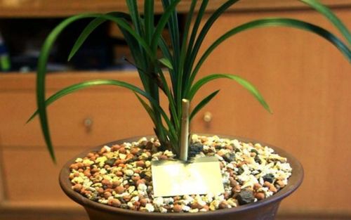 敲击法：听听声音辨干湿