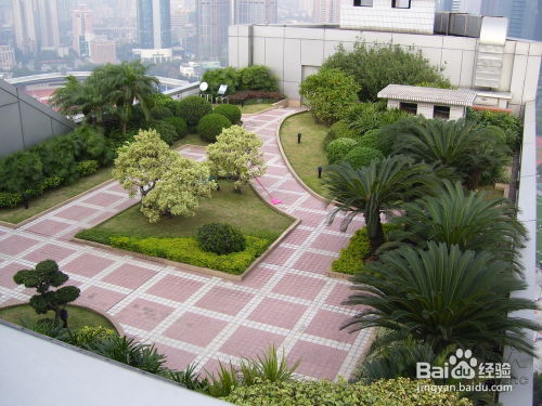 屋顶花园植物种植小窍门