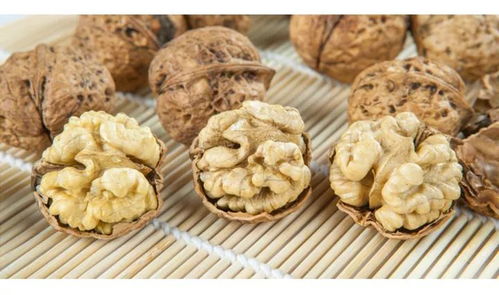 广东连州考察祁东冬枣，发现其具有巨大发展潜力