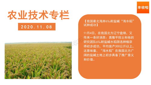 不宜因头发而盖住额头