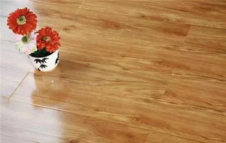 地板虫害烦恼？铺木地板前要不要撒杀虫剂？