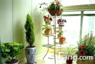 五、 插播：植物的小插头