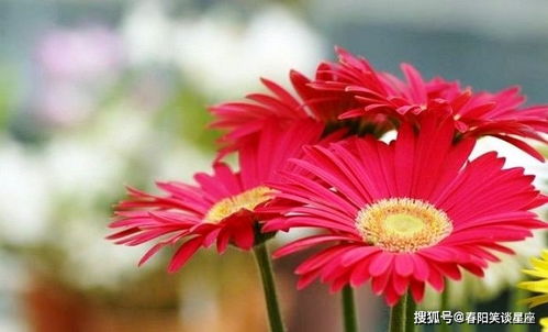 采收量决定生死线