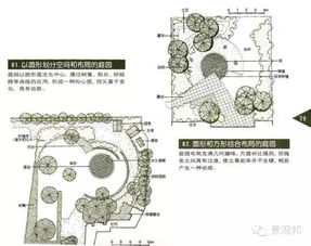 平面设计：园林植物造景的画笔