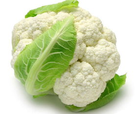 阳台种植花菜的要点