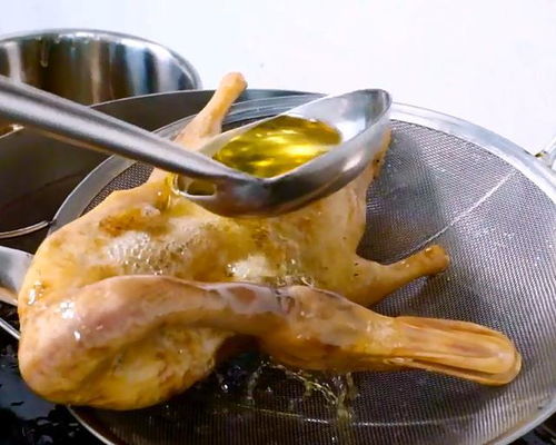 川丁鱼广布长江、珠江，肉质鲜美