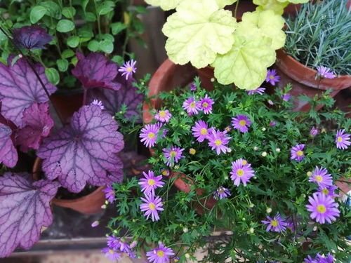 采花制药必知三原则