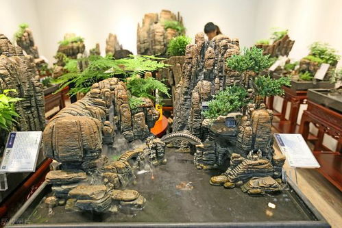 庭院景观植物中，有哪些适合庭院种植的常绿植物推荐