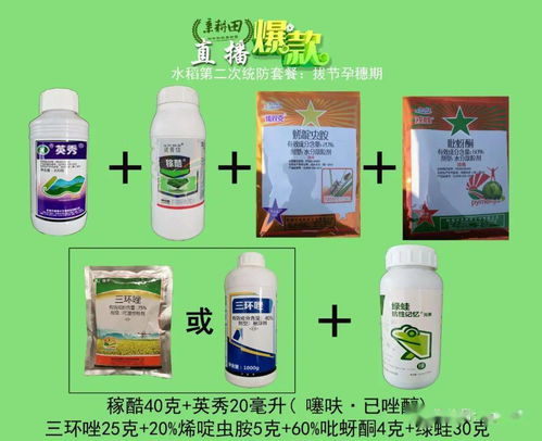 康宽：钻心虫的“瘫痪剂”