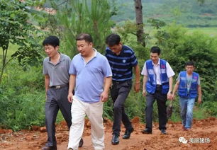 创新猪舍地面养殖技术