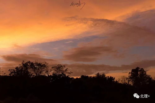 炽焰岛与絮流岛的秘密