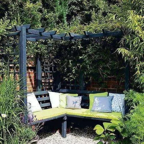 杭州民宿老板的藤蔓迷宫