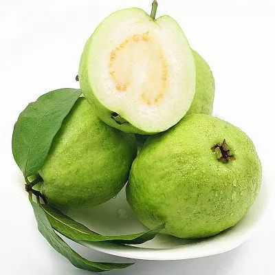 珍珠番石榴秋季管理，关注果实成熟与病虫害防治