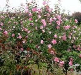 二、价格差异在哪里