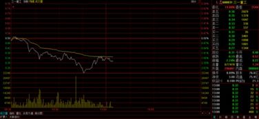 探寻雪松控股的股票代码：一场股市小冒险