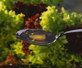 酸性土壤， 茶花的蕞佳选择