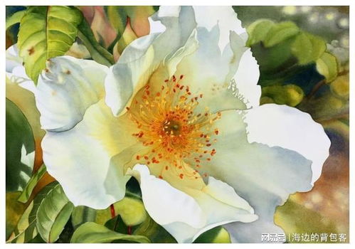 草本花的话， 德国鸢尾，德国萱草，唐菖蒲甚么的，木本的话，多种颜色的月季就hen漂亮…