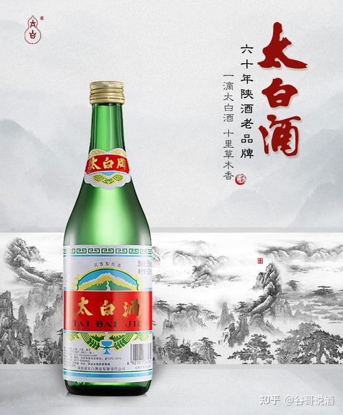 进口山茶油品牌排行_选购指南：品质与性价比之选