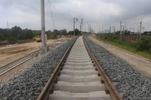 苗木运输费用降低的秘籍大揭秘