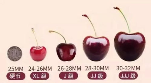 有效去除什么农残，去除保鲜剂、防腐剂等