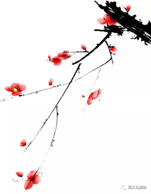 梅花枝干：坚韧的质感