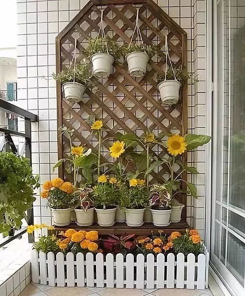 阳台党速成记：60天植物开花大作战