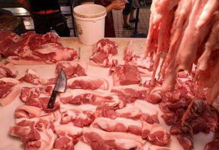 “优化养殖技术，提升肉品品质与风味”