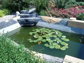 秋天的色彩盛宴：庭院草本花的选择