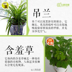 温度：保持温暖， 避免温差