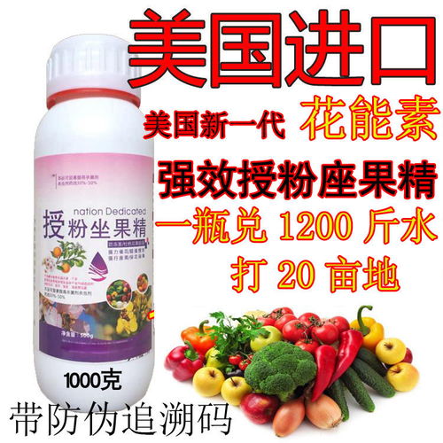 大棚番茄防落素和赤霉素混用后赤霉酸不结果怎么办？