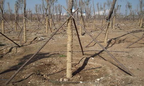 1. 堪环境，剪对方法