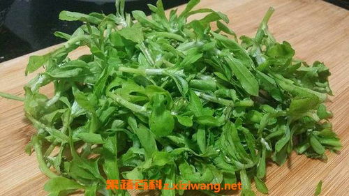 清明菜的特殊美味