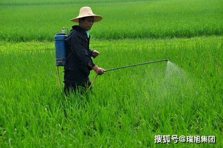 正确使用：减少减产风险