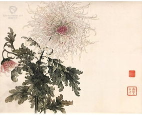 绘制过程的观察与理解