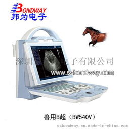 兽用医疗器械消毒：核心关键词+如何确保消毒效果