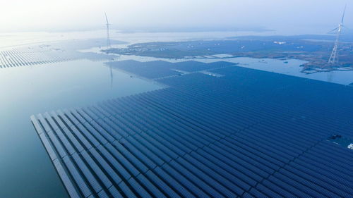 北京通威饲料官网上的优质饲料，如何确保其领先地位？