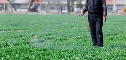 土壤湿度与除草剂效果的关系