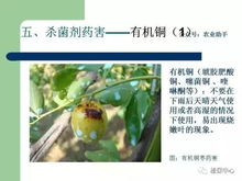 病虫害防治， 药效要选对