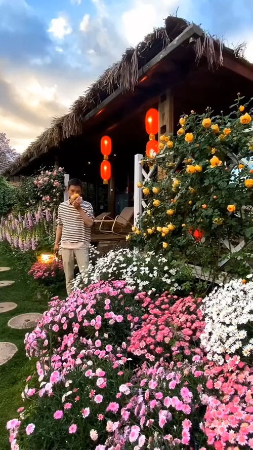四万万朵玫瑰，谁送给她