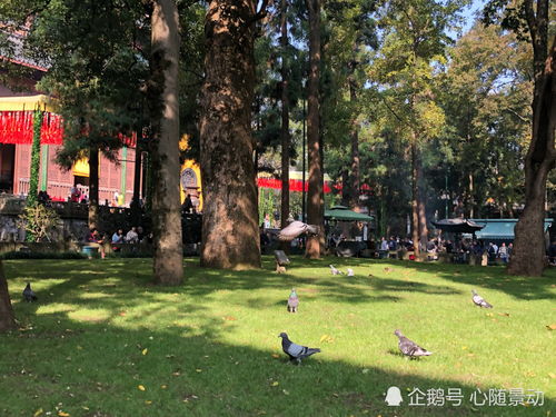 口碑，那是传出来的