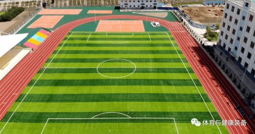 二、需要准备的材料或设备