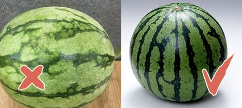 二、 施肥不当的原因分析