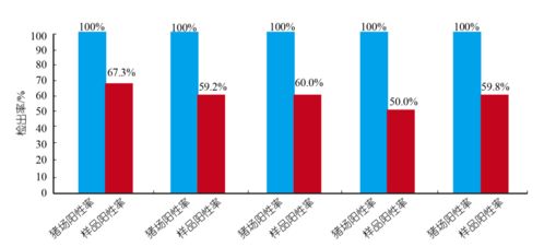 猪肠炎防控策略优化