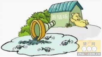 养猪场污染破解：生态循环