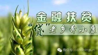 沁州红高粱产业扶贫，助力贫困地区脱贫致富