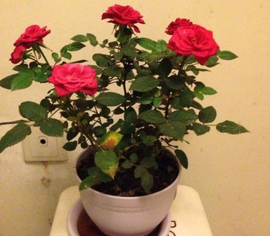 那要注意点啥呢？我来给你絮叨絮叨